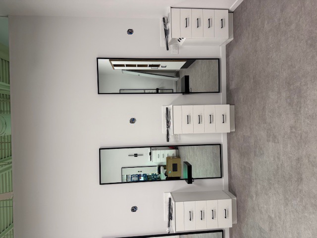 Commercial salon buildout: mirrors, lighting, and storage cabinets